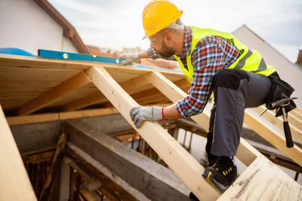 Best Roof Gutter Cleaning  in Oak Leaf, TX